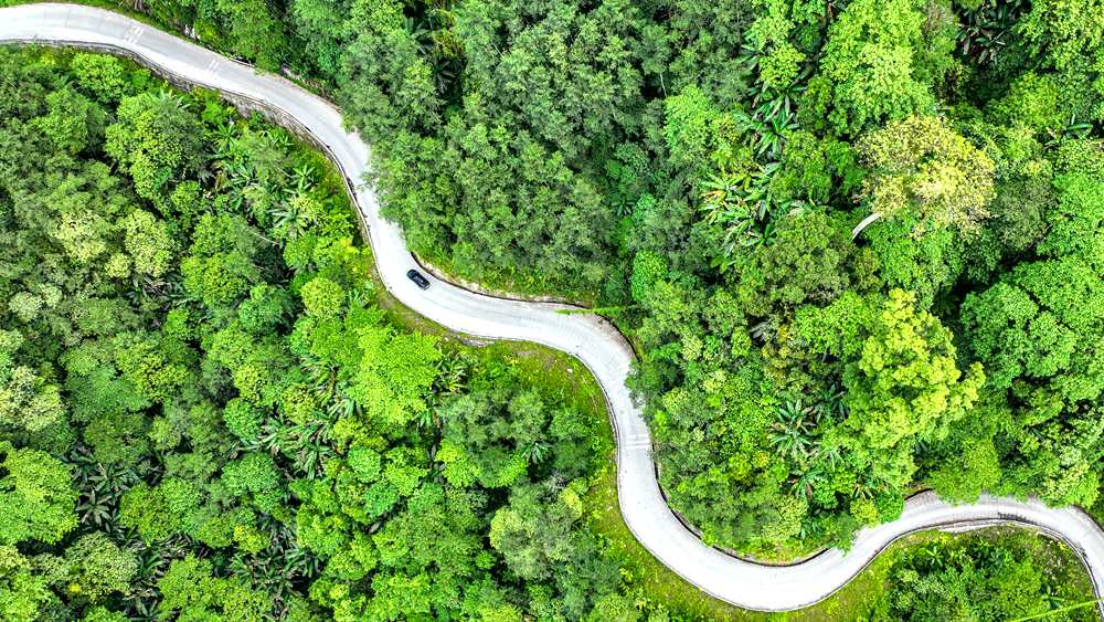 穿行于綠色間，生態(tài)優(yōu)良。張澤坤攝