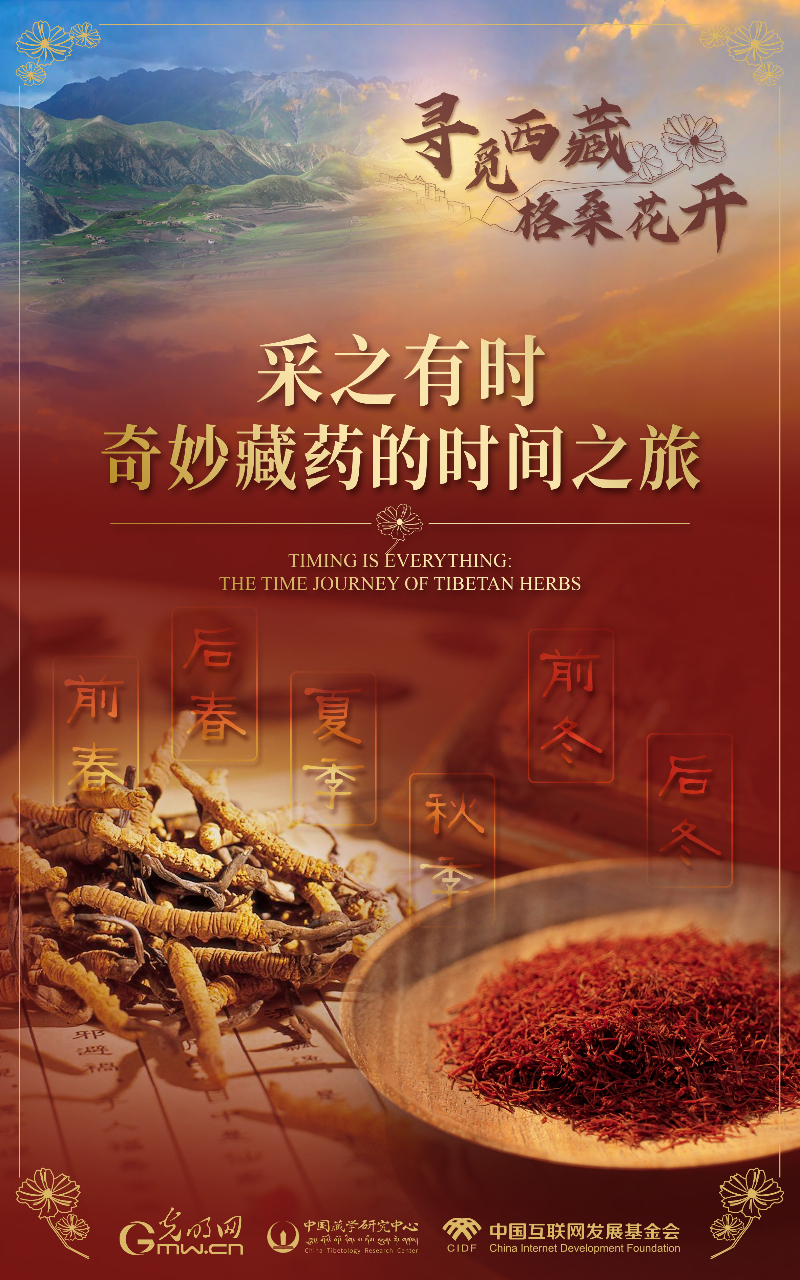 【尋覓西藏·格?；ㄩ_(kāi)】采之有時(shí)：奇妙藏藥的時(shí)間之旅