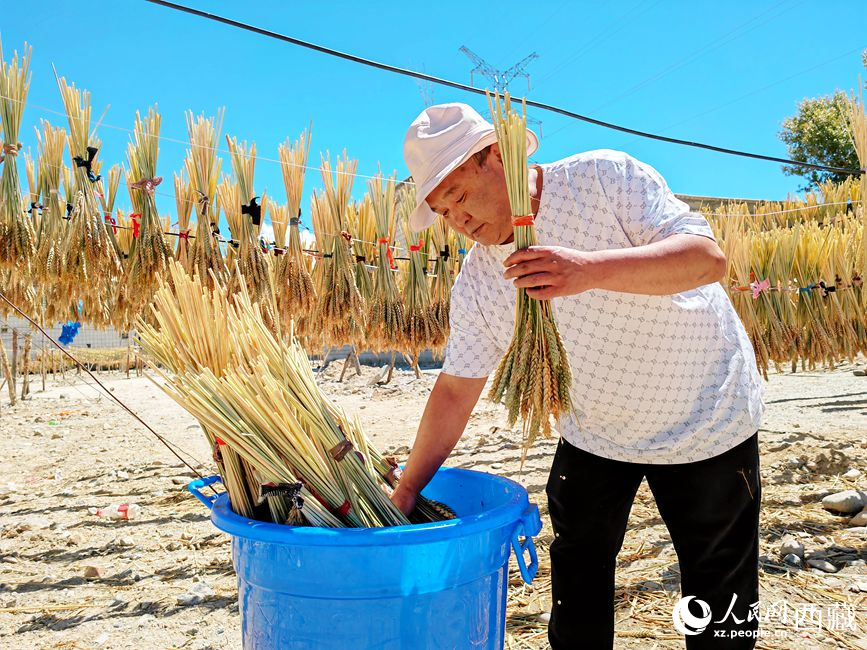 幸福生活曬出來。人民網(wǎng) 李海霞攝