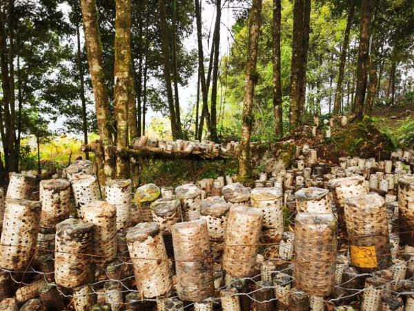 幾代建設(shè)者，歷經(jīng)半個(gè)多世紀(jì)完成！這是一條怎樣的公路？