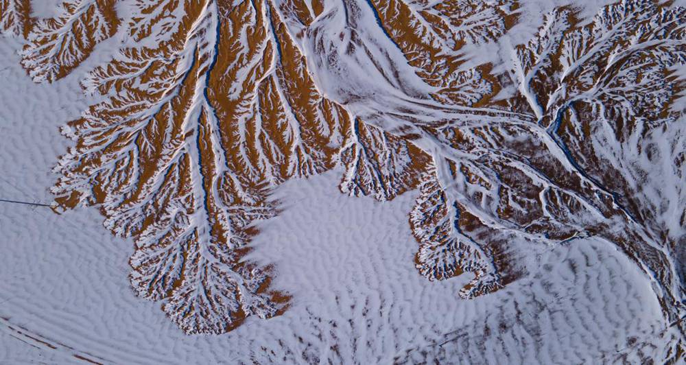 栩栩如生的枝干。邊巴多吉攝