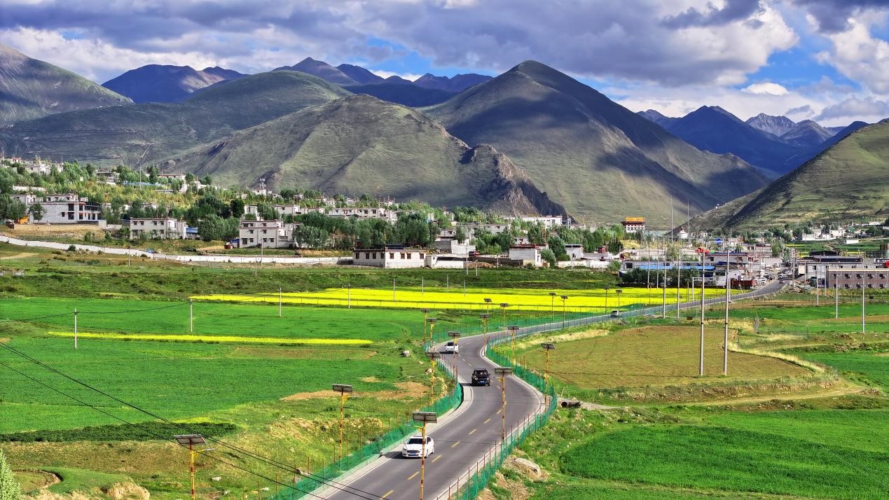 油菜花開“金”滿地。墨竹工卡縣委宣傳部 洛克攝