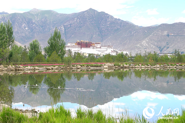 雄偉的布達(dá)拉宮與綠意蔥蘢的南山隔河相望。人民網(wǎng)記者 劉凡攝