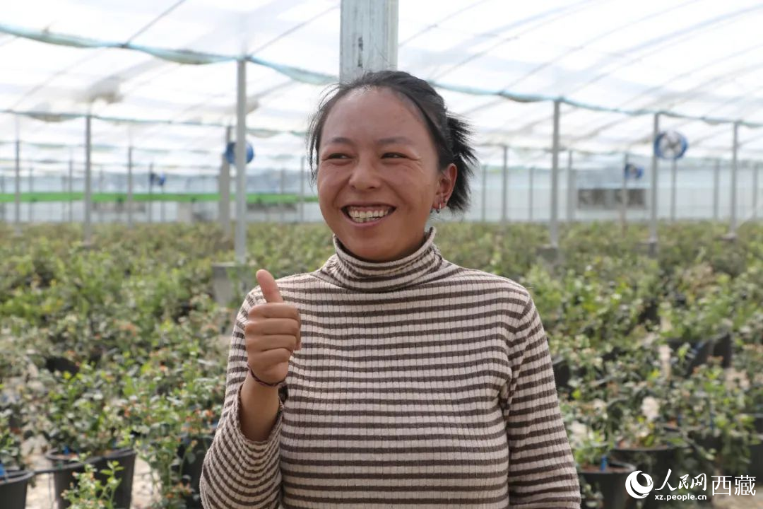 措姆品嘗自己精心照料的藍莓后，豎起了大拇指。次仁龍布攝