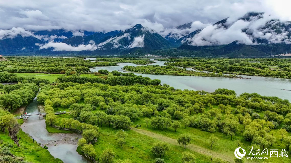 鳥瞰盛夏季節(jié)的雅尼濕地風(fēng)光。人民網(wǎng)記者 次仁羅布攝