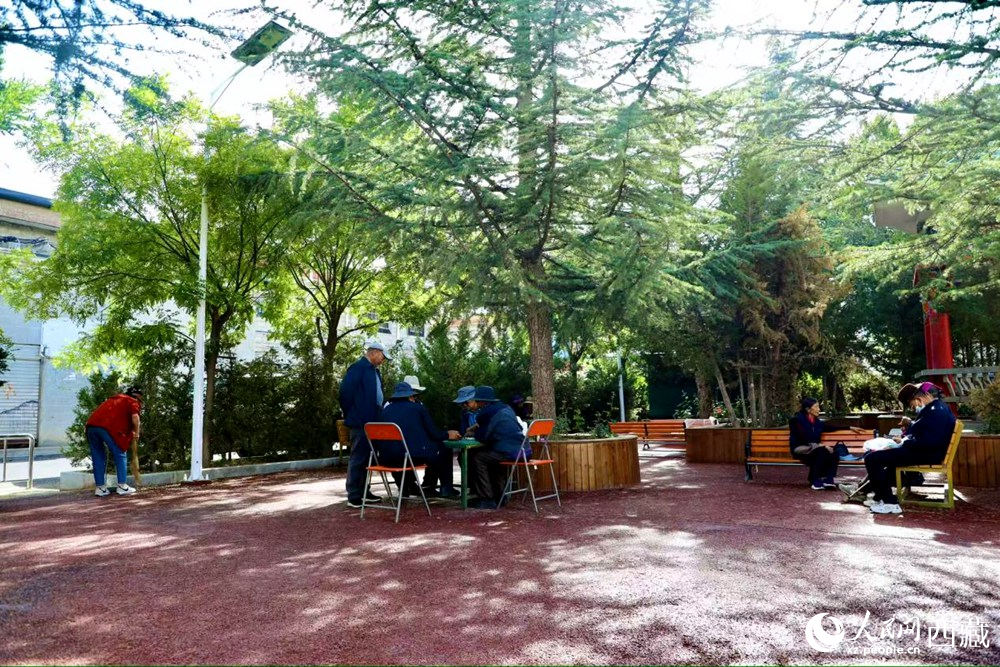 老人們在綠樹成蔭的“社區(qū)會客廳”中對弈休憩。人民網(wǎng)記者 次仁羅布攝