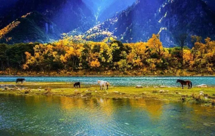 懂西藏的人，一定不會(huì)錯(cuò)過(guò)林芝的秋天