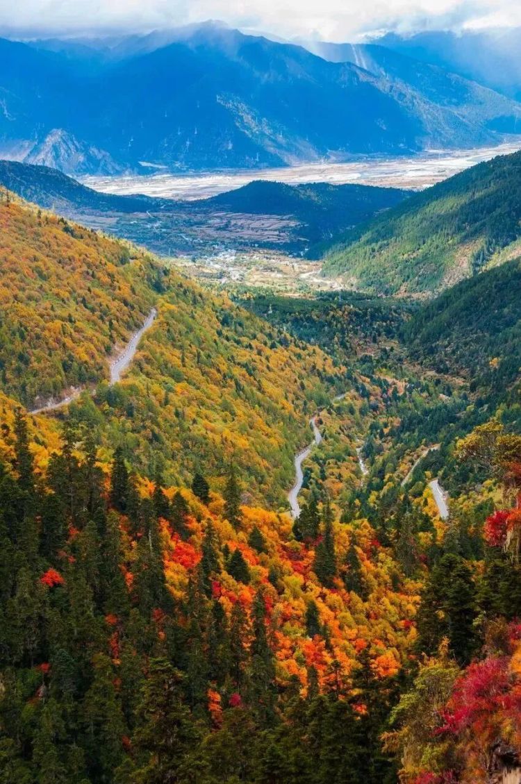 懂西藏的人，一定不會(huì)錯(cuò)過(guò)林芝的秋天