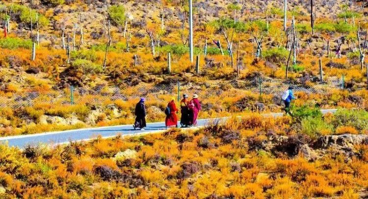 懂西藏的人，一定不會(huì)錯(cuò)過(guò)林芝的秋天