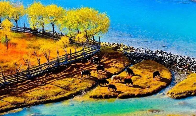 懂西藏的人，一定不會(huì)錯(cuò)過(guò)林芝的秋天