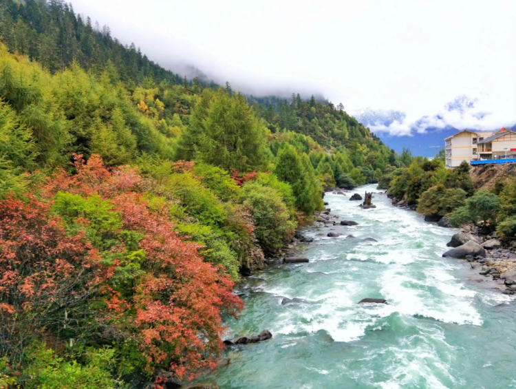 懂西藏的人，一定不會(huì)錯(cuò)過(guò)林芝的秋天