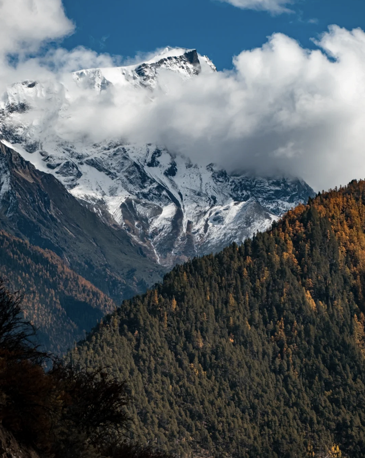 懂西藏的人，一定不會(huì)錯(cuò)過(guò)林芝的秋天