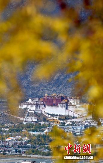 西藏拉薩深秋如畫(huà)