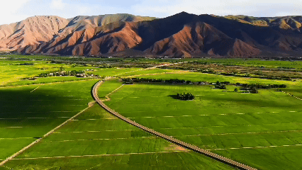 青稞“蛻變”，牦?！俺鋈Α?！看西藏農(nóng)牧民的“十四五”豐收答卷
