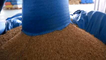 青稞“蛻變”，牦?！俺鋈Α?！看西藏農(nóng)牧民的“十四五”豐收答卷