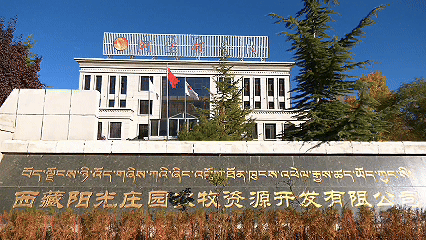 青稞“蛻變”，牦牛“出圈”！看西藏農(nóng)牧民的“十四五”豐收答卷