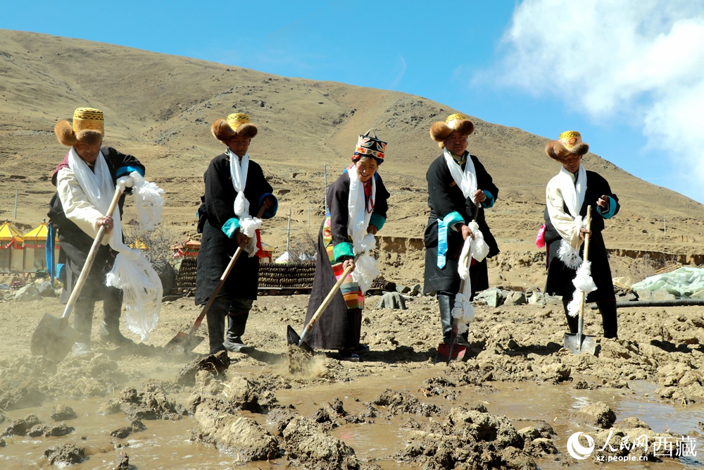 身著傳統(tǒng)服飾的拉東村村民手持鐵鍬疏通水道、引水灌溉，渠水奔涌入田，開啟春耕生產(chǎn)。人民網(wǎng)記者 吳雨仁攝