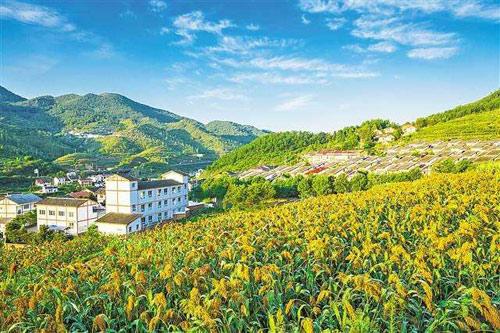 【理上網(wǎng)來o輝煌十九大】鄉(xiāng)村振興戰(zhàn)略：更綜合、全面、系統(tǒng)的發(fā)展戰(zhàn)略