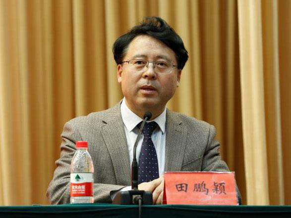 田鵬穎：投入其中、樂(lè)在其中、安身其中