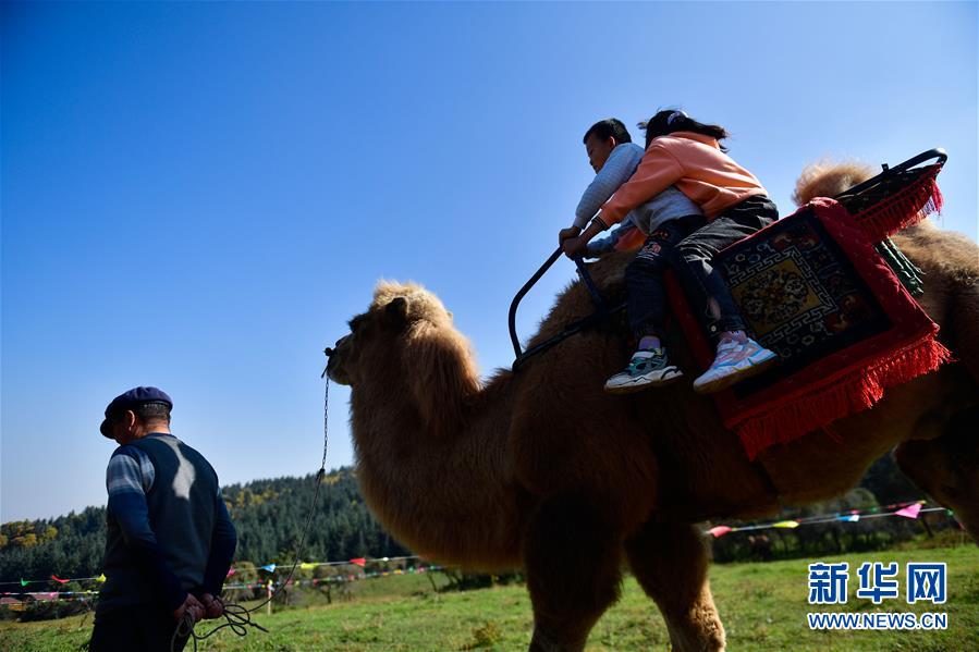 （全面建成小康社會(huì)“百城千縣萬(wàn)村調(diào)研行”·圖文互動(dòng)）（7）青?？?yáng)村：“光棍村”的華麗轉(zhuǎn)身