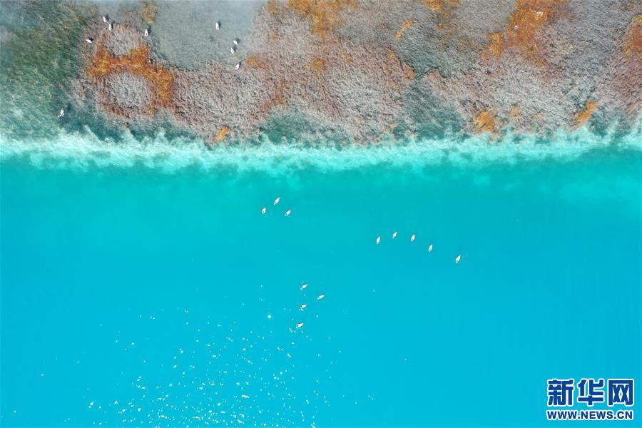 (新華視界)(5)鳥瞰羊湖