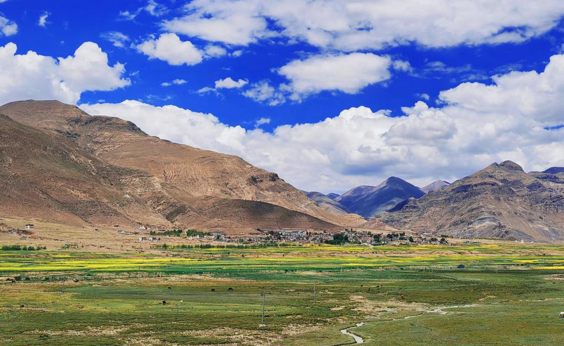 羌塘草原上的美好圖景。人民網(wǎng) 李海霞攝