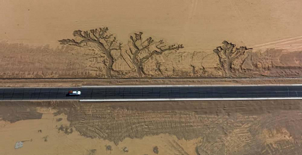 位于國道216沿線的“大地之樹”。邊巴多吉攝