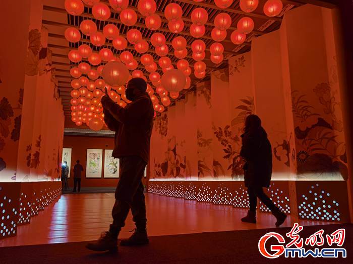 【新春走基層】視頻丨虎年看虎展！來國博感受虎文化