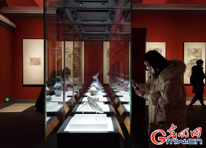 【新春走基層】視頻丨虎年看虎展！來國博感受虎文化